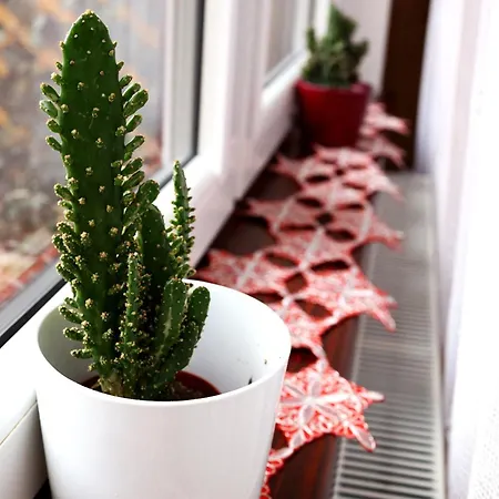 Na Zloncu アパート *